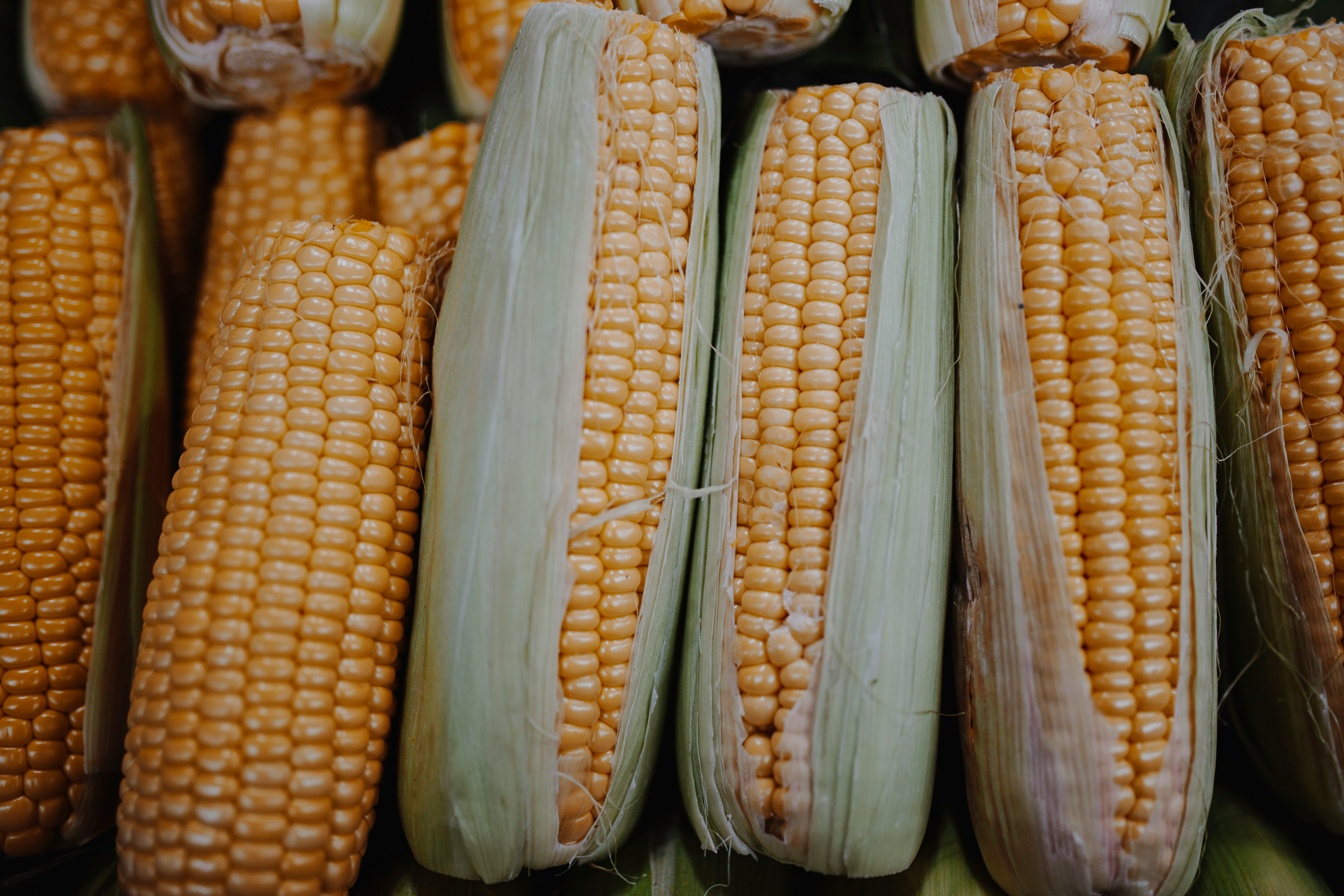 Sweet Corn